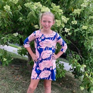 Lilly Pulitzer 3/4 sleeve flamingo shift dress. Worn only twice!